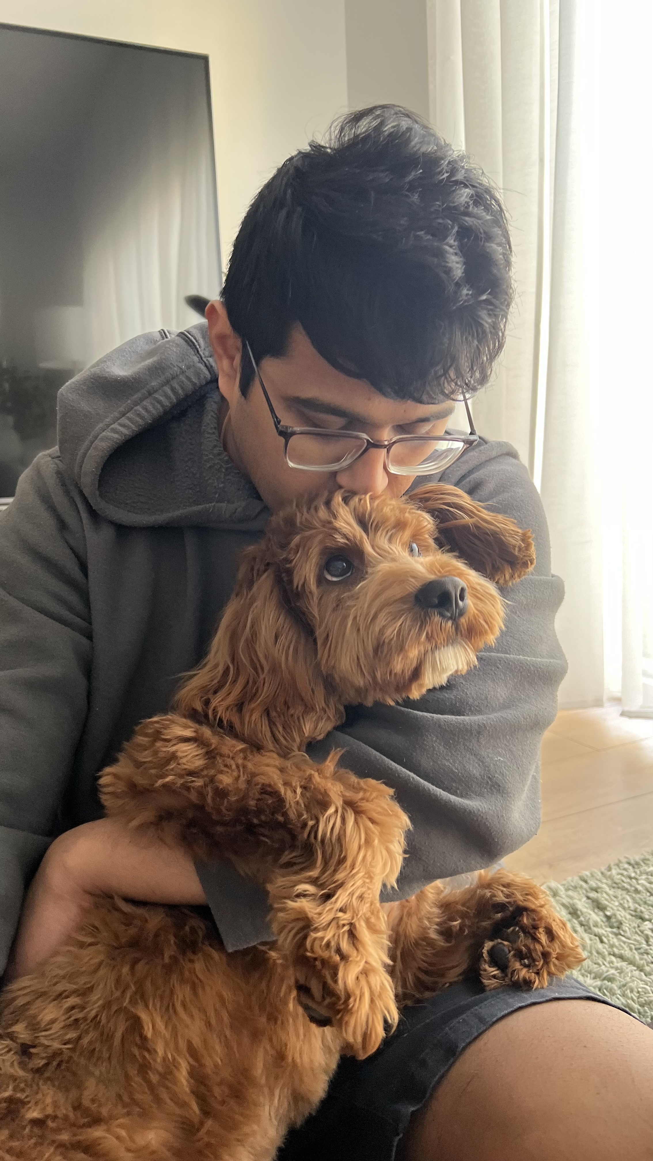 image of donation process for an animal welfare nonprofit