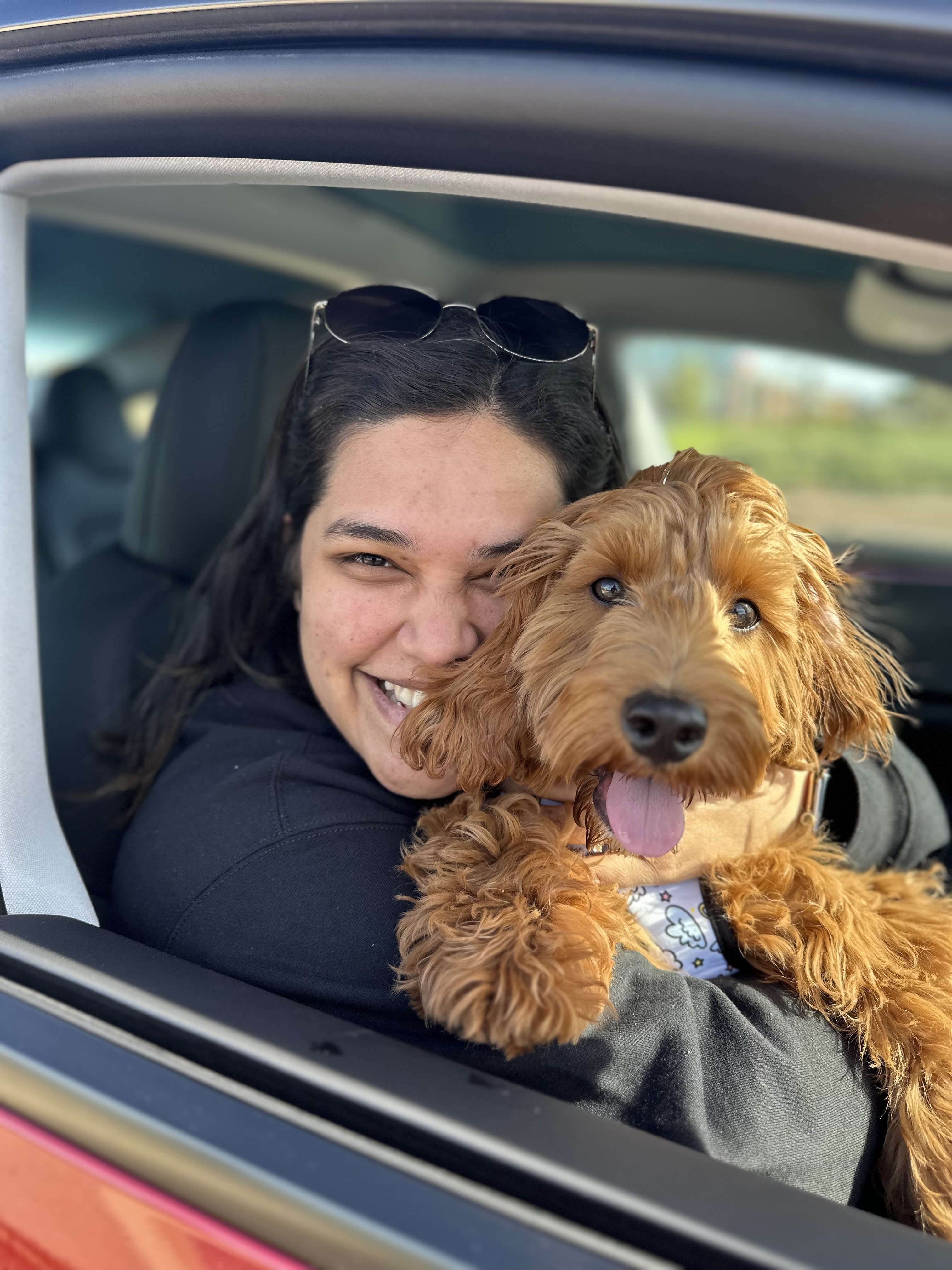 image of animal adoption event